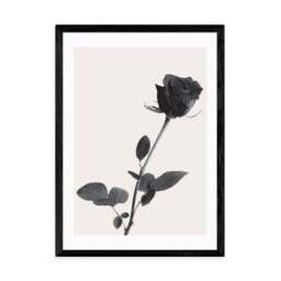East End Prints One Rose Print - thumbnail 2