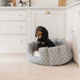 Lords and Labradors Spotty High Wall Dog Bed - thumbnail 1