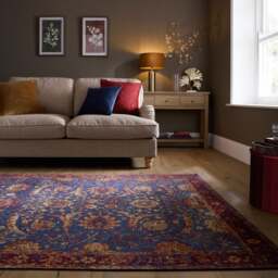 Veronica Traditional Chenille Rug - thumbnail 1