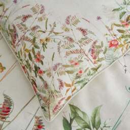 Dorma Rambling Rose Cream 100% Cotton Standard Pillowcase Pair - thumbnail 3