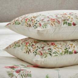 Dorma Rambling Rose Cream 100% Cotton Standard Pillowcase Pair - thumbnail 2