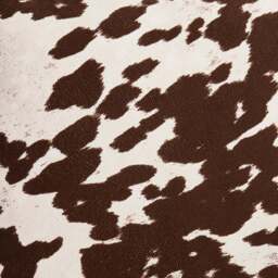 DUSK Seattle Double Click Clack Sofa Bed - Brown Cow Print - thumbnail 9