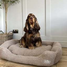 DUSK Teddy Basket Dog Bed - Taupe - Small - thumbnail 5