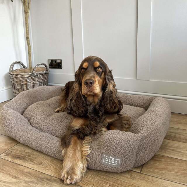 DUSK Teddy Basket Dog Bed - Taupe - Medium - image 1