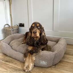 DUSK Teddy Basket Dog Bed - Taupe - Medium