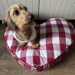 DUSK Beau Gingham Love Heart Dog Bed - White/Red - thumbnail 2