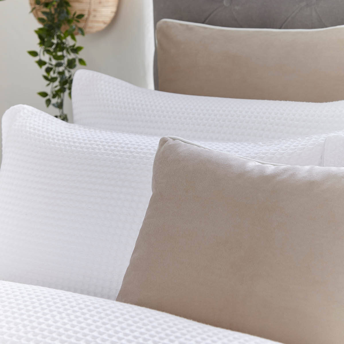 DUSK Luxury Velvet Cushion Cover - Stone - 50cm x 50cm  - 50cm x 50cm