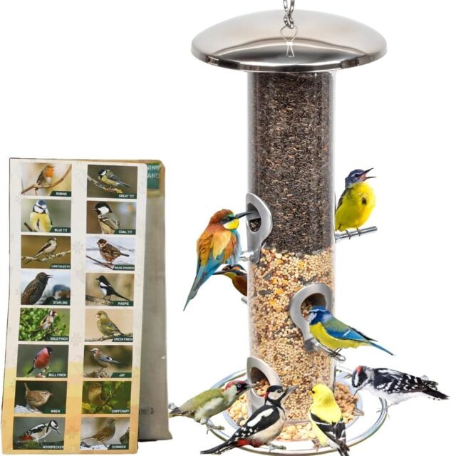 Stainless Steel Bird Feeder Bird Seed Feeder Bird Feeders Garden Bird