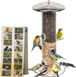 Stainless Steel Bird Feeder Bird Seed Feeder Bird Feeders Garden Bird