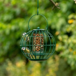 The London Squirrel Resistant Peanut Feeder - Garden Birds