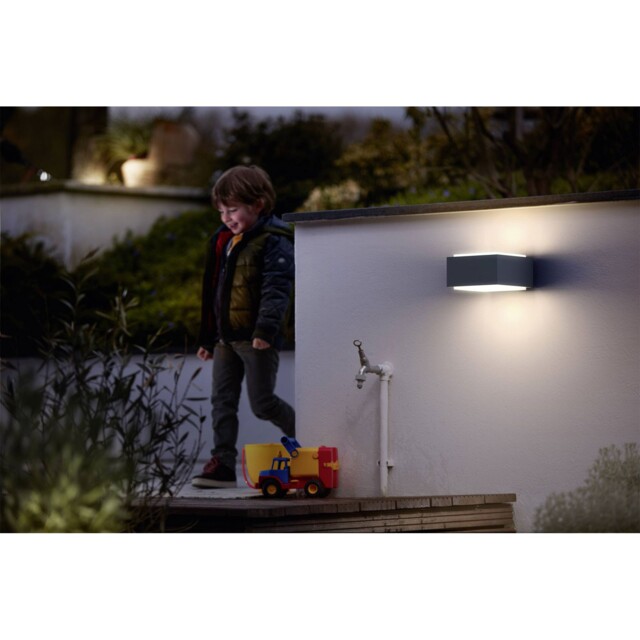 Philips Outdoor Wall Light Led E-27 42w Anthracite