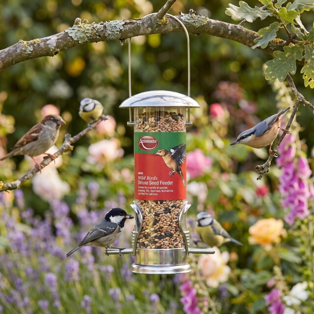 Wild Bird Seed Feeder Deluxe Hanging Easy Fill Feeding Tube Station