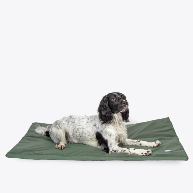 Waterproof Dog Bed - Danish Design County Standard Duvet Dog Bed - Med