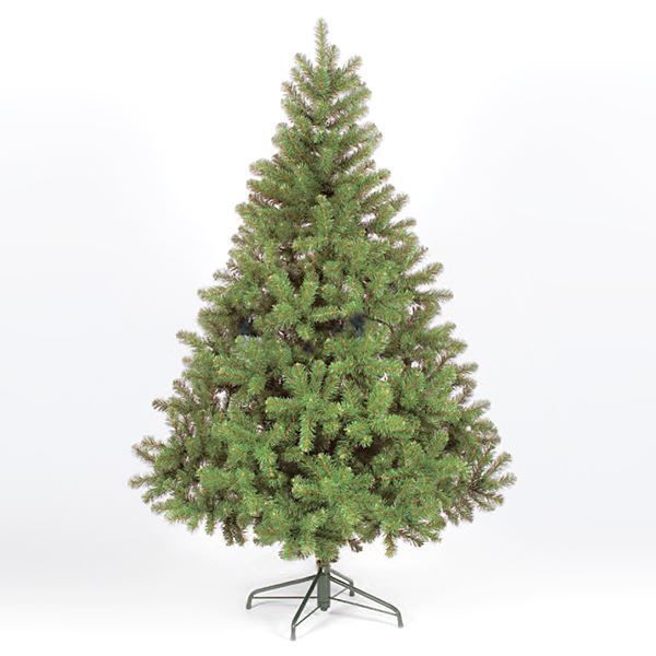 Christmas Tree Xmas Colorado Spruce 4ft 5ft 6ft 7ft 8ft Or 10ft Free