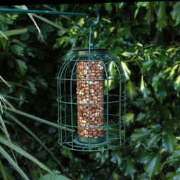 Nature's Market Nut Feeder - Wild Birds - With Squirrel Guard Large