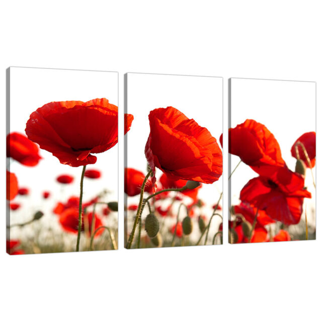 Set Of Three Red Poppy Canvas Prints Pictures Wall Art Poppies 3056