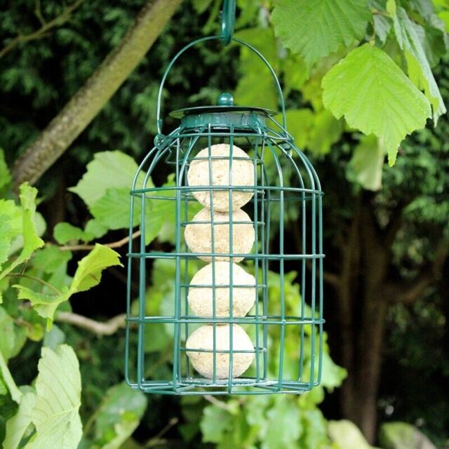 Hanging Wild Bird Feeder Seed Nut Fat Ball Feeding Station Cage