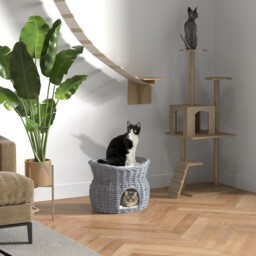 2-tier Elevated Pet Cushion Bed Basket Willow Cat Tree House Condo