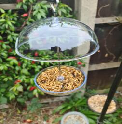 Hanging Bird Feeder Garden Canopy Mesh Tray Feeding Mealworm Outdoor