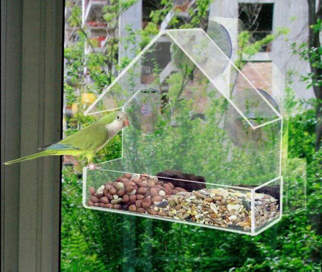 Window Bird Feeder Garden Clear Perspex Feeding Station Seeds Nuts