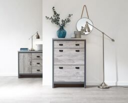 Grey Boston 2 Tier Shoe 1 Drawer Storage Shoe Cabinet- Local Delivery