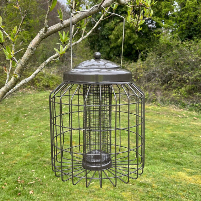 Squirrel Proof Hanging Bird Nut Peanut Feeder Heavy Duty Garden Wild