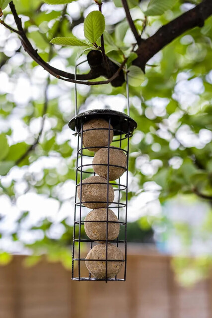 Hanging Wild Bird Feeder Seed Nuts Suet Fat Ball Feeding Station Table