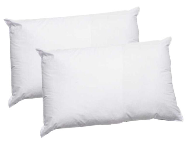 Pillowcase Protector Cover Case 50 X 75cm Hypoallergenic Pillow