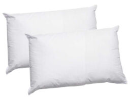 Pillowcase Protector Cover Case 50 X 75cm Hypoallergenic Pillow