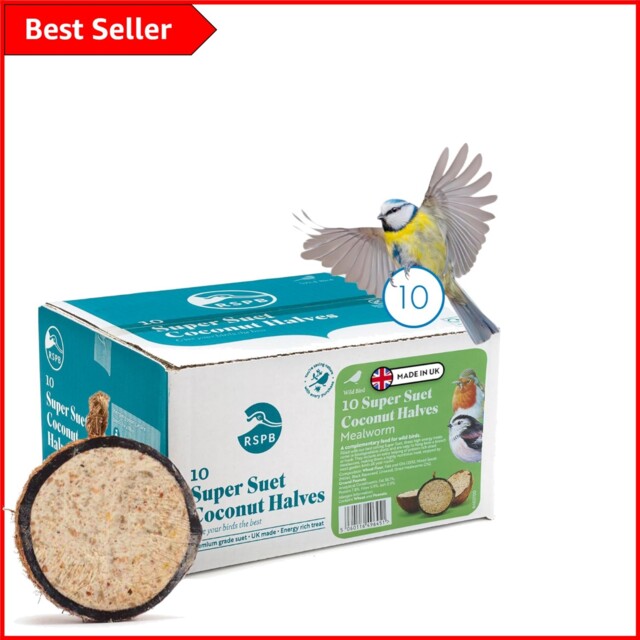Coconut Shell Bird Feeders With Mealworms – Eco-friendly Wild Bird