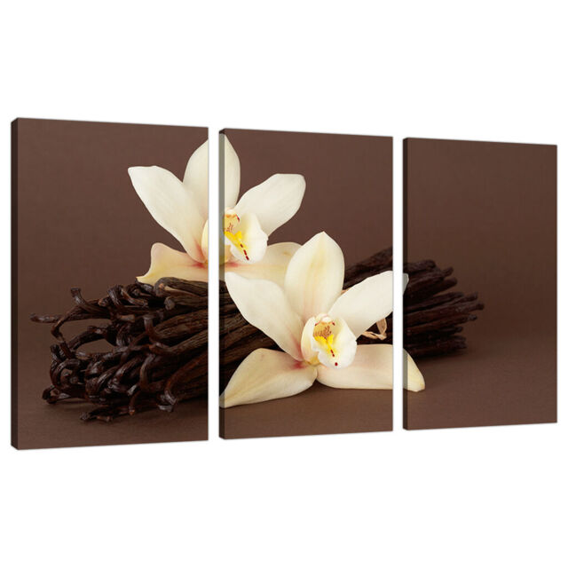 Set Of 3 Piece Large Brown Cream Floral Canvas Wall Art Pictures 3121