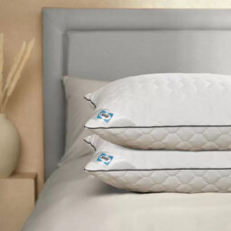 Sealy Deeply Full Pillow 2 Pack