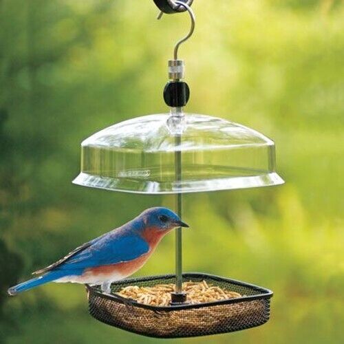 Hanging Bird Feeder Garden Canopy Mesh Tray Feeding Mealworm Outdoor
