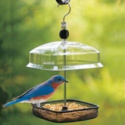 Hanging Bird Feeder Garden Canopy Mesh Tray Feeding Mealworm Outdoor