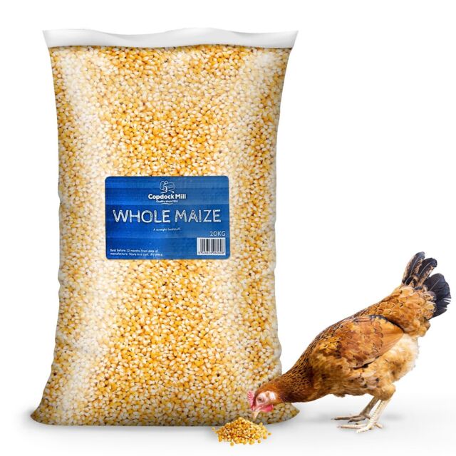 Copdock Mill Whole Maize Chicken Feed Poultry Doves Pigeon Water Game