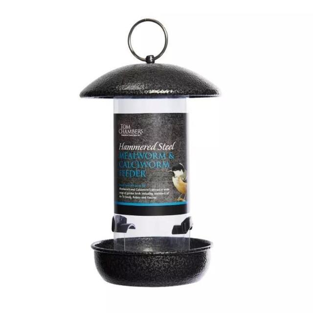 Bird Mealworm Feeder Steel Calciworm Tom Chambers Garden Contemporary