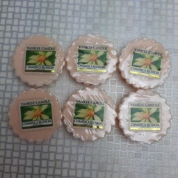 Yankee Candle Champaca Blossom Wax Melts Tarts 6x 22g Retired