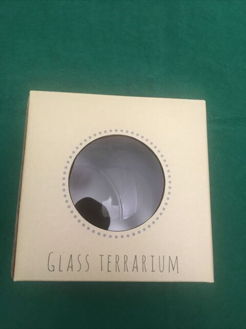 Glass Bauble / Tealight Holder / Mini Terrarium - Hanging Glass