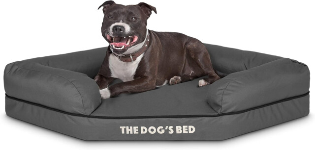 The Dog’s Bed Orthopedic Memory Foam Corner Dog Bed, Calming Surface –