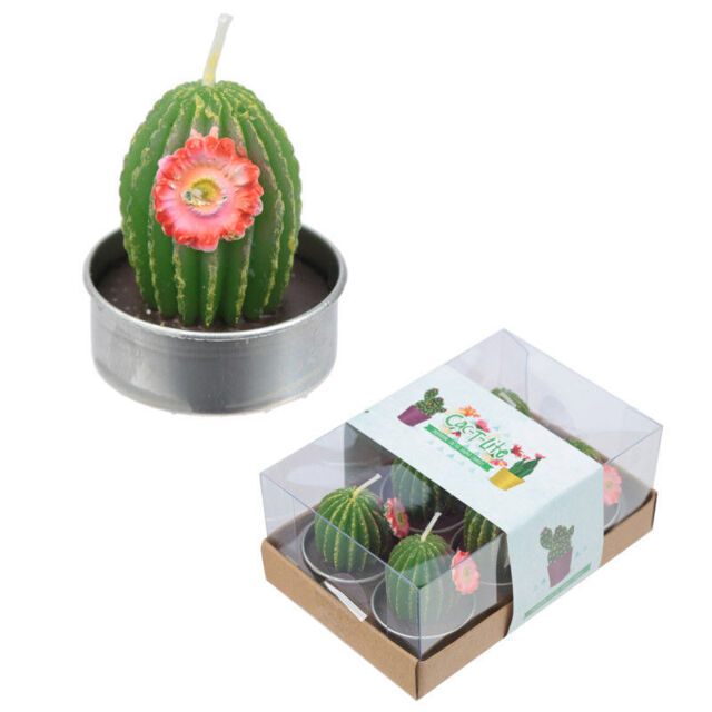 Boxed 6 Tea Lights Mini Candles Cactus With Red Flower Set Fun Gift