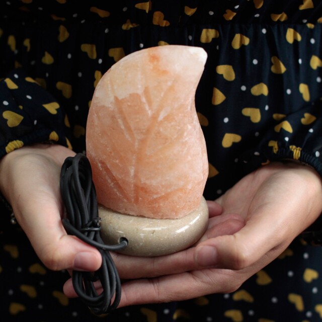 Leaf Himalayan Salt Lamp Usb Colour Changing Led Night Light Mood Desk