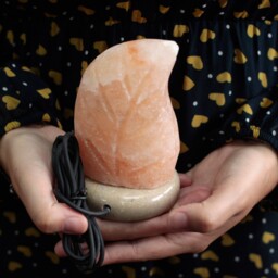 Leaf Himalayan Salt Lamp Usb Colour Changing Led Night Light Mood Desk