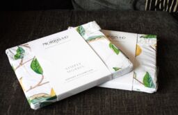 Pair Morris & Co Lemon Tree Oxford Pillowcase 100% Cotton Percale 220