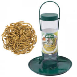 "Mealworm Feeder - (8"" Inch) - Wild Bird Feed Holder Food Tray Scrap"