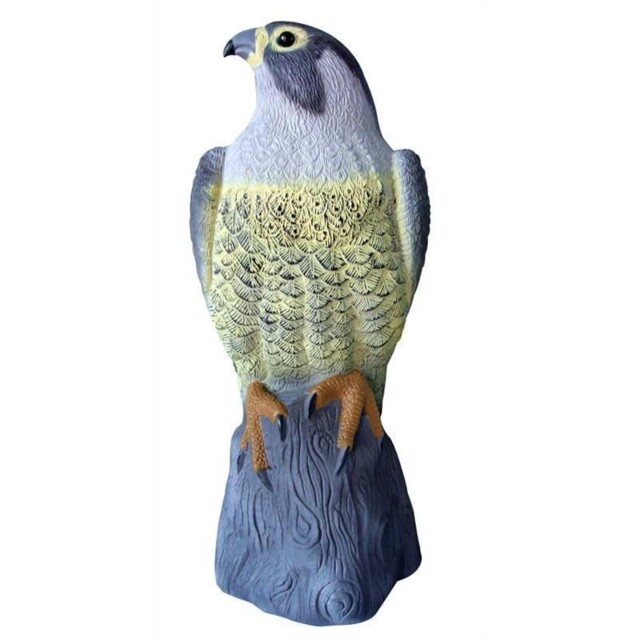 Falcon Bird Deterrent Garden Ornament And Protection