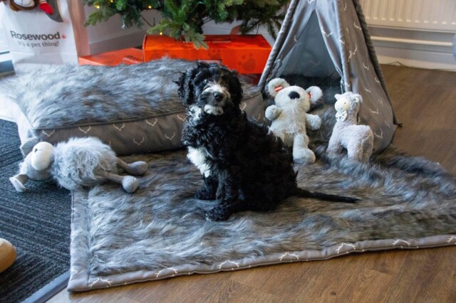 Rosewood Wolf Tiger Antler Supersoft Dog Blanket Grey 110x73cm