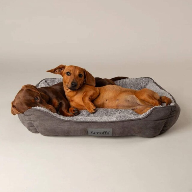Cosy Soft-walled Dog Bed - Super Soft Dog Bed In Grey - Small To Xl