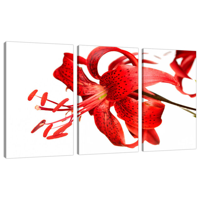 3 Part Red Canvas Pictures Wall Art Dining Bed Room Flowers Lily 3052