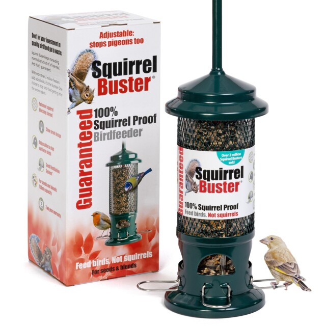 Squirrel Proof Bird Feeder For Seeds - Jacobi Jayne® Original, Green