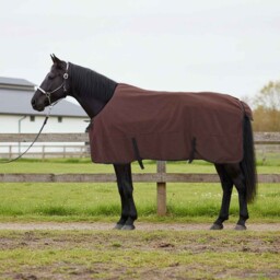 Horse Blanket Full 145cm Dark Brown Polyester Winter Outdoor Warm